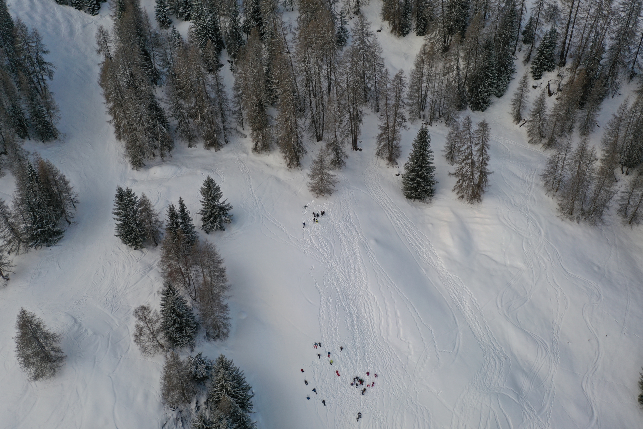 L’AS en séjour Ski à La Plagne